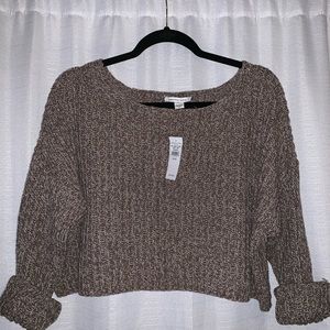 Brown crop American Eagle sweater